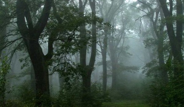 q&a — odpowiedzi!!