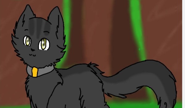 Wszystko o Szarej Prędze!