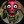 SpringTrapx_862