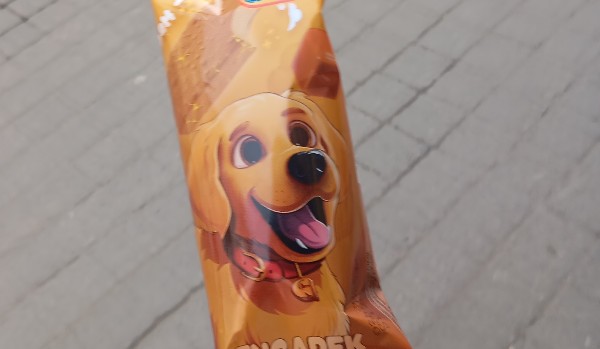 Jakiego loda powinn*ś zjeść?