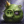 DummesSchwein