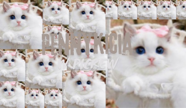 Jak wyobrażam sobie @Pennykicia w Picrew