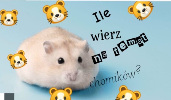 Ile wiesz na temat chomików?
