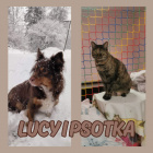 .Lucy.i.psotka.official.