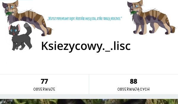 Wywiady z użytkownikami Same Quizy-@Ksiezycowy._.lisc
