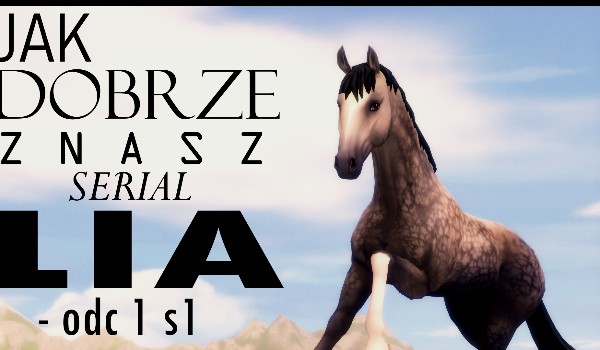 Jak dobrze znasz serial ,,LIA” ? | ODCINEK PIERWSZY