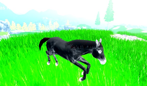 Konie jak dobrać znasz konie