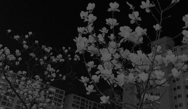 Na rękach…  | One Shot