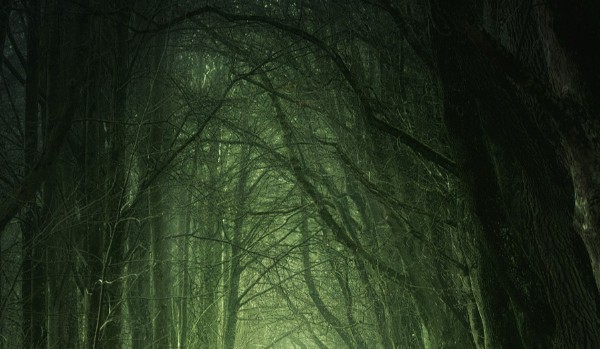 Gotuj z @._gladiator_.! Część 1