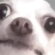 Igvzzzzzo
