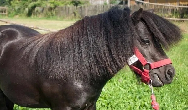 Na jaką nazwę zmienić?