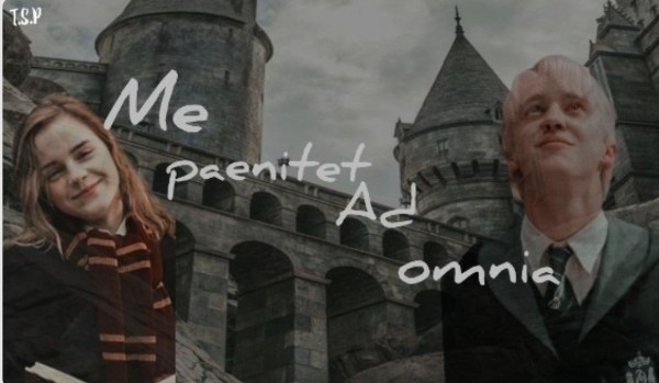 Me paenitet ad omnia #13