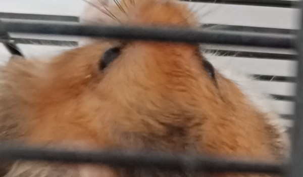 Impreza z okazji dnia dziecka!