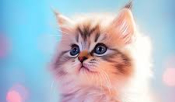 mój pamiętnik|część 3