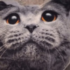 moja_stara