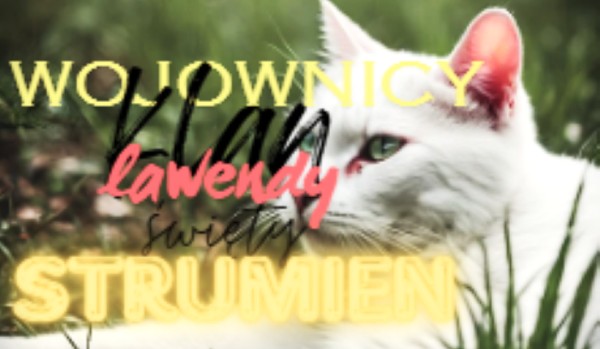 |Wojownicy Klan Lawendy |Święty Strumień #4|