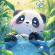 Pandziara-Kociara