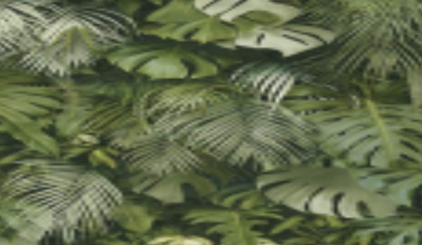 jakim duchem zwierzęcia jesteś?