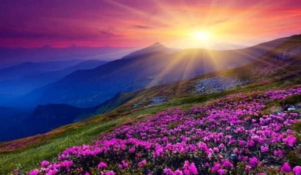 Jaki kolor stolca do ciebie pasuje?