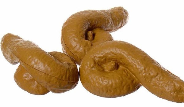 REMASTERED test wiedzy o Maksie P.