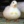 DuckPL