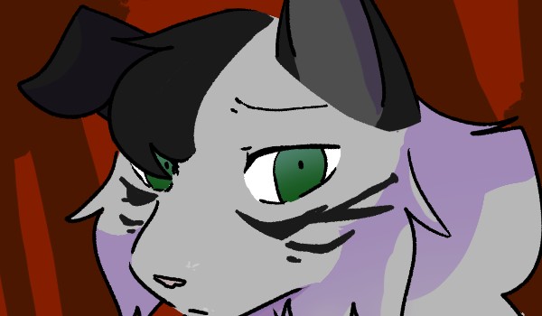 BezgwiezdnaNoc. rozdział 1, Niezwykła Kotka.