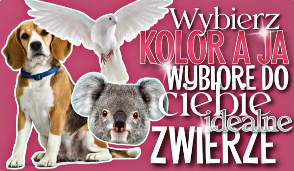 Wybierz kolor, a ja wybiorę idealne zwierzę dla Ciebie!