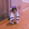 Shinobu09