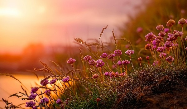 Wystrój szuka domu! (Aespa)