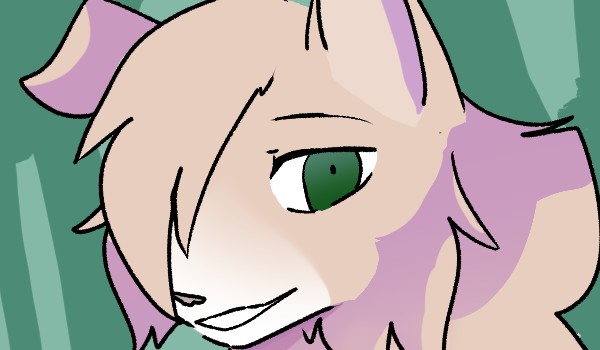 NowyŚwit. Klan Sowy.