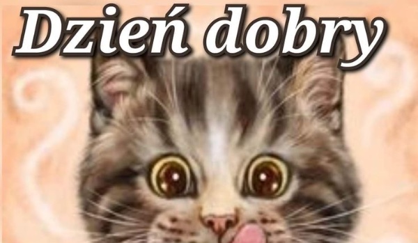 Top 5 powodów/historii dlaczego jestem dziwna