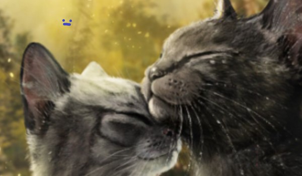 Wojownicy – Ogień i Lód – Test wiedzy!