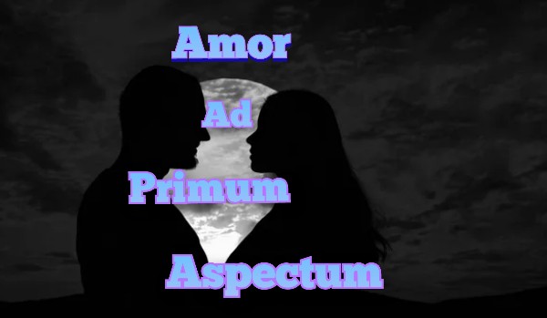 Amor Ad Primum Aspectum #6 | Oblicze Wojny