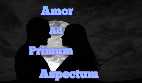 Amor Ad Primum Aspectum #14 | Kwiaty