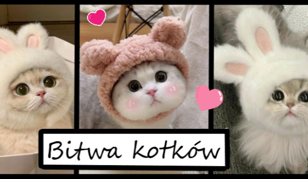 Wyniki bitwy kotków!!!