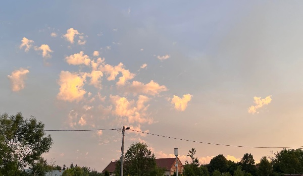 Ile wiesz o rodzinie weston (trylogia braci weston)