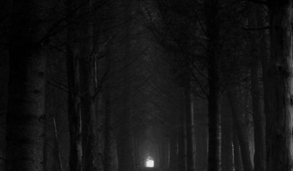 Czy przetrwałbyś 24 godziny bez…?- głosowanie!