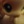omlet.i