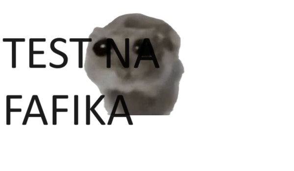 TEST NA FAFICZKA