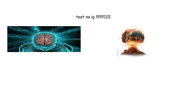 test na iq !!!!!!!!!!!!!!!!!!!!!!!!!!!!!!!!!!