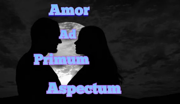 Amor Ad Primum Aspectum #19 | Pusty Dom
