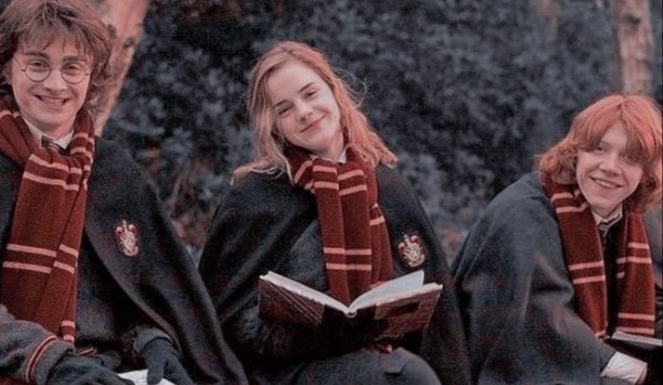 Hogwarts Life|Opo z obs|Chapter six