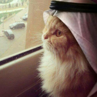 lacinskopolskislownik