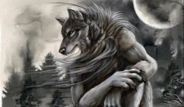 KIM JESTEŚ W OMEGAVERSE????