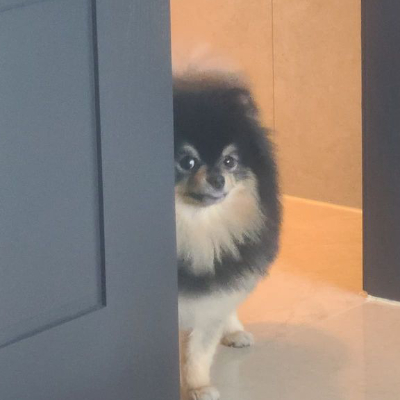 ObsesyjnaFankaJimina