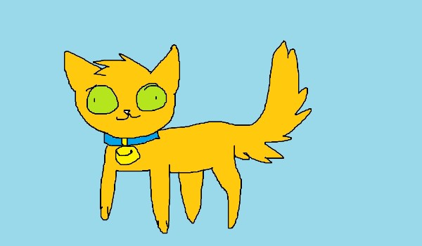 Rasti SameQuizy Rasti SameQuizy