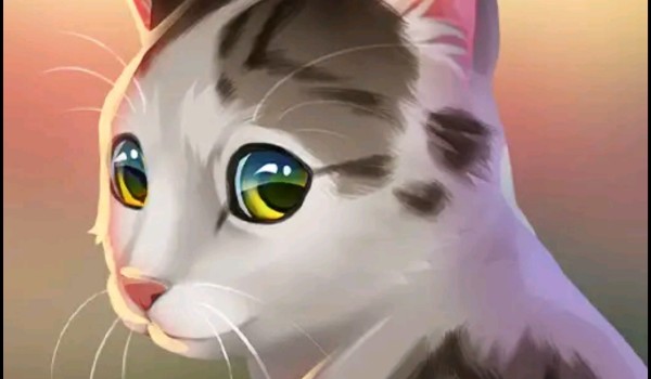 Sklep obłocznego |parodia|