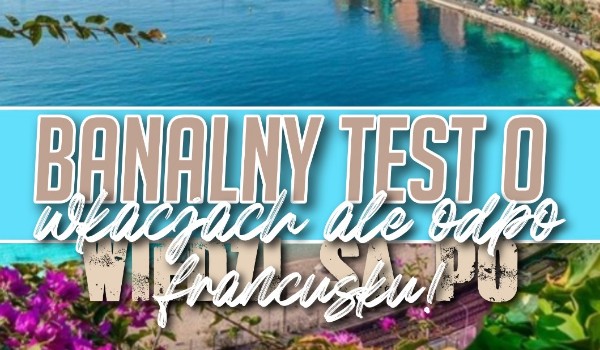Banalnie prosty test o wakacjach ale odpowiedzi są po FRANCUSKU !