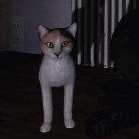 ghost_cat