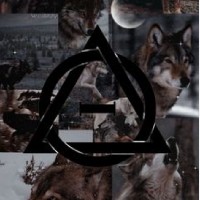 dog_are_the_best